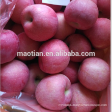 Rosy Blush fuji apple big sizes- hot sale